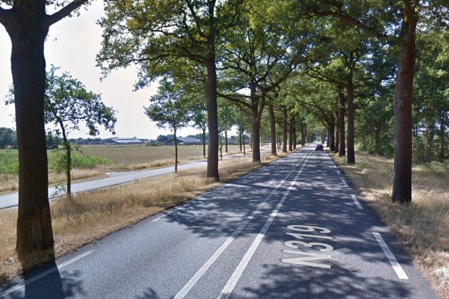 N319 tussen Groenlo en Ruurlo met ongeveer 343 eiken die gekapt dreigen te worden met als reden dat ze een gevaar zijn voor jhet verkeer