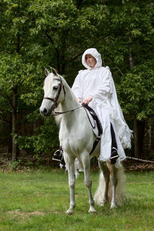Performance Frozen Dance van Grace Schwindt tijdens Lustwarande 2019