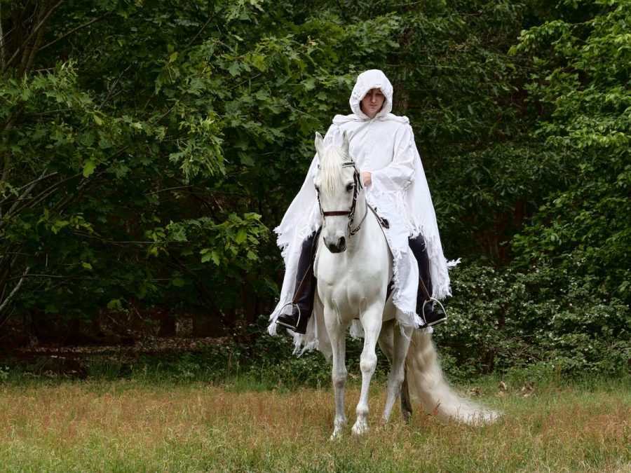 Paard Lucius met eigenaresse Felicitas
