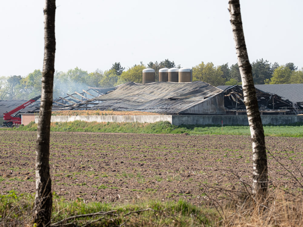Stalbrand Lierop