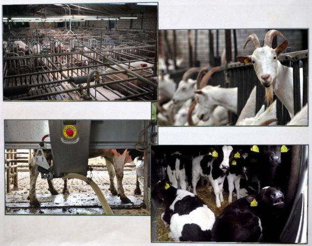 Boeren zoals het nu gaat
