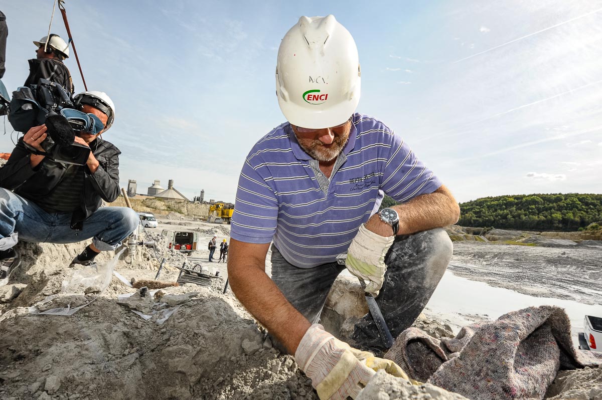Opgraving mosasauriër bij ENCI-groeve Maastricht