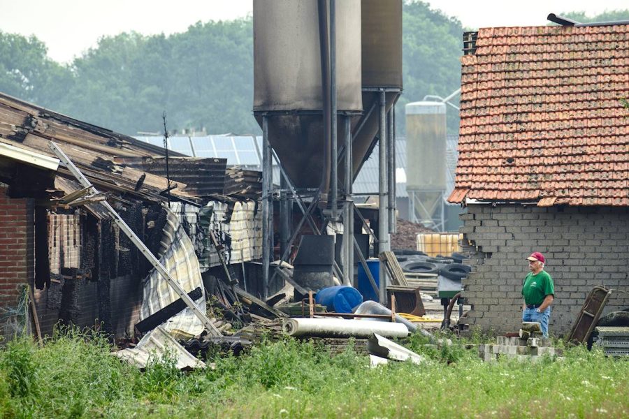 Bij een legkippenbedrijf in Heythuysen overleden op maandag 14 mei 2018 12000 kippen. Ze verbleven op dat moment in een vrije uitlloopstal.