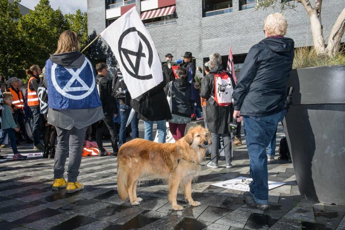Toehoorders tijdens actie Extinction Rebellion in Tilburg tegen slachterij Vion