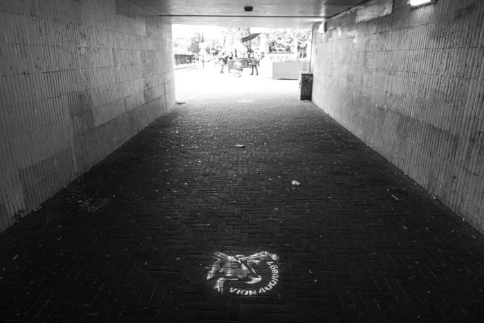 Afbeelding van hoofd van koe tijdens actie Extinction Rebellion in Tilburg tegen slachterij Vion