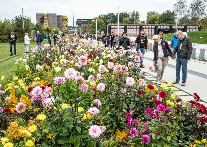 Floriade 2022, Almere