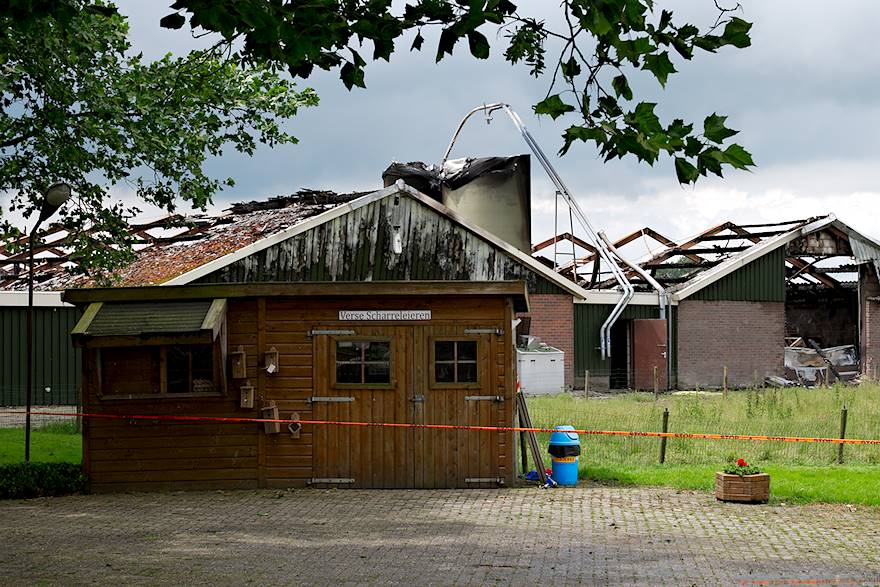 38.000 kippen verbrand bij stalbrand Buurmalsen