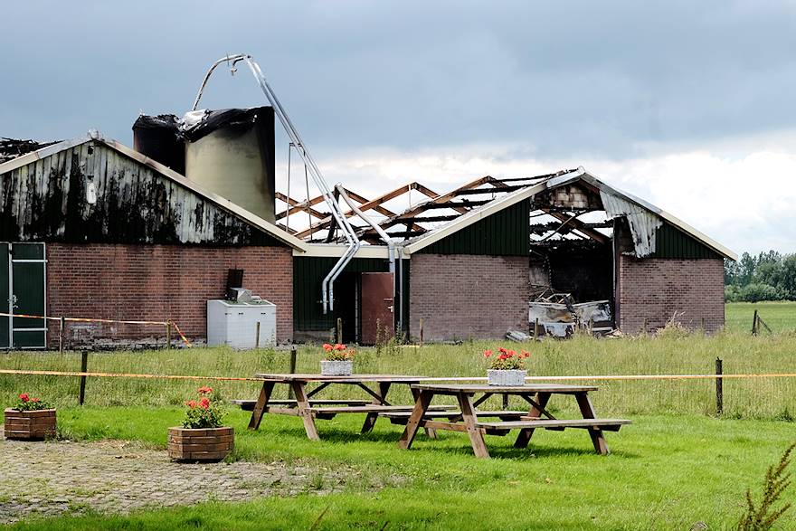 38.000 kippen verbrand bij stalbrand Buurmalsen