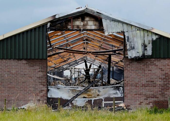 38.000 kippen verbrand bij stalbrand Buurmalsen