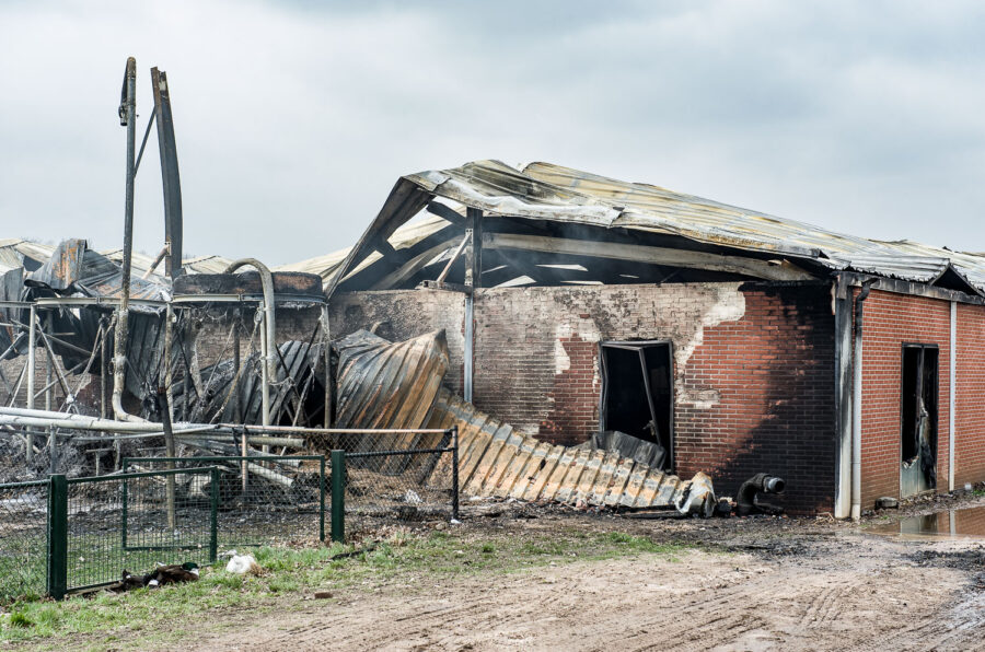 Stalbrand varkensstal Spoordonk 2012