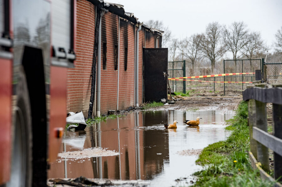Stalbrand varkensstal Spoordonk 2012