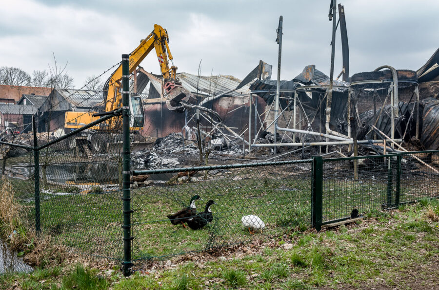 Stalbrand varkensstal Spoordonk 2012
