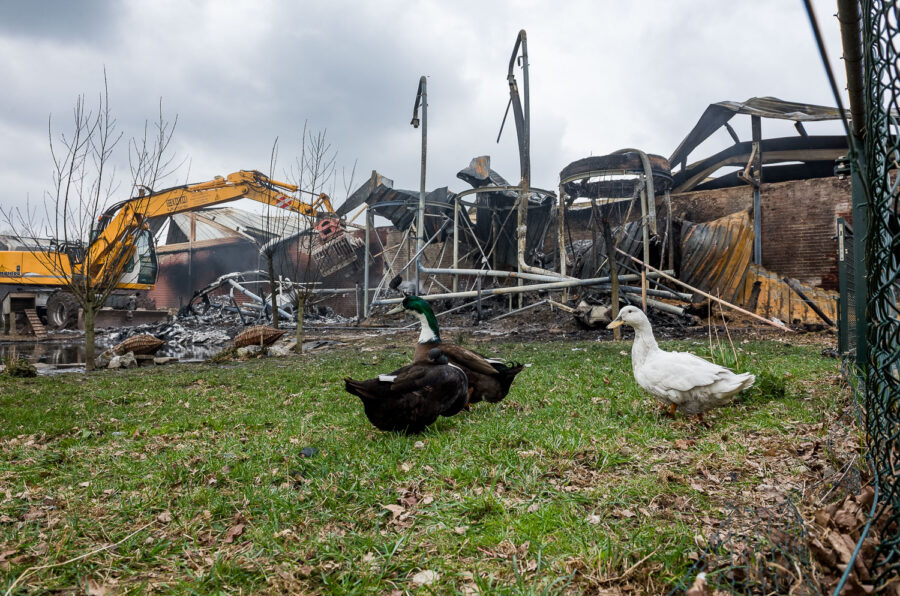 Stalbrand varkensstal Spoordonk 2012