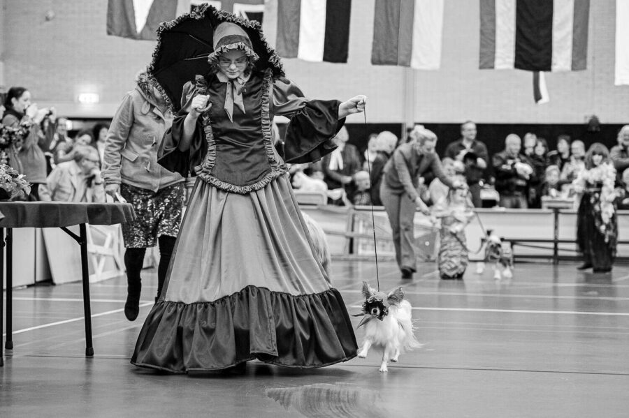 Hondenshow Kaatsheuvel 2012