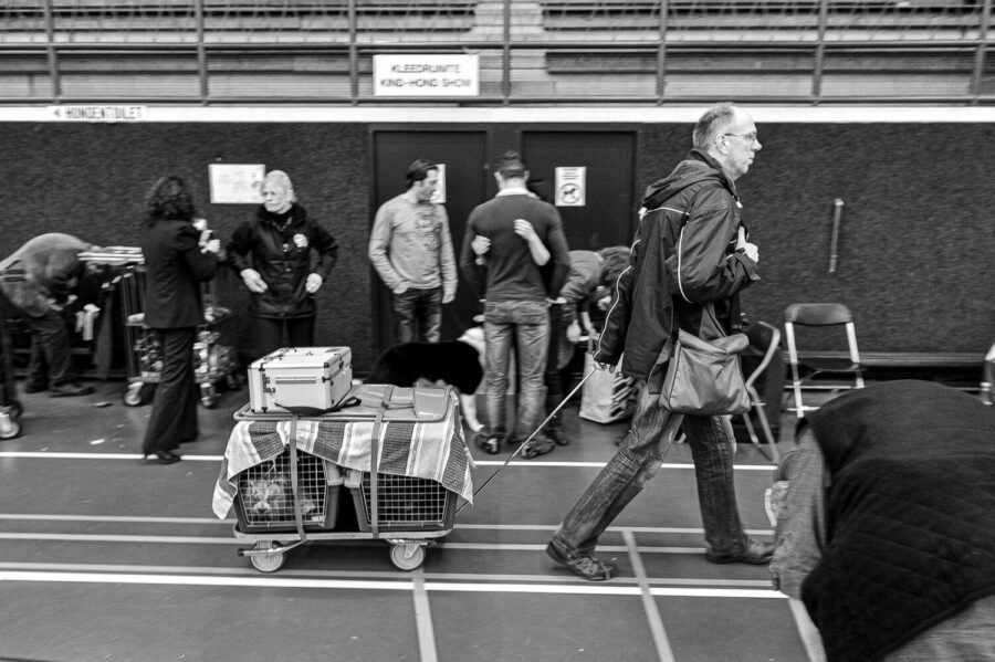 Hondenshow Kaatsheuvel 2012