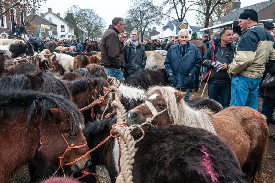 Paardenmarkt Hedel 2011