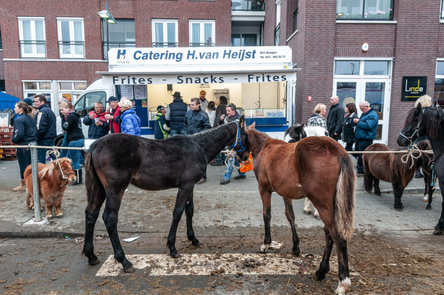 Paardenmarkt Hedel 2011
