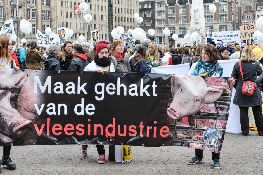 Demonstratie 'We zijn het Mega Zat' op de Dam te Amsterdam, tegen megastallen, vee-industrie en de nieuwe natuurwet van staatssecretaris Henk Bleker.