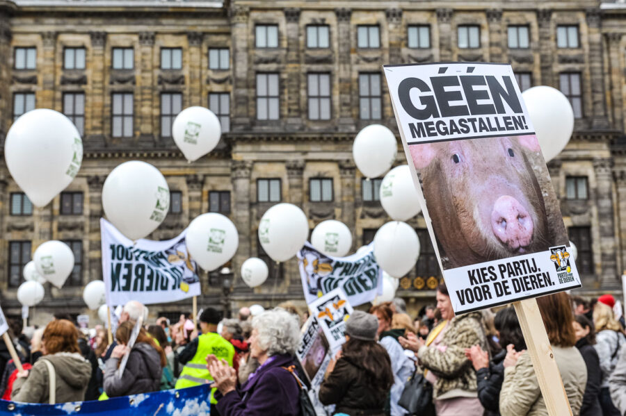 Demonstratie 'We zijn het Mega Zat' op de Dam te Amsterdam, tegen megastallen, vee-industrie en de nieuwe natuurwet van staatssecretaris Henk Bleker.