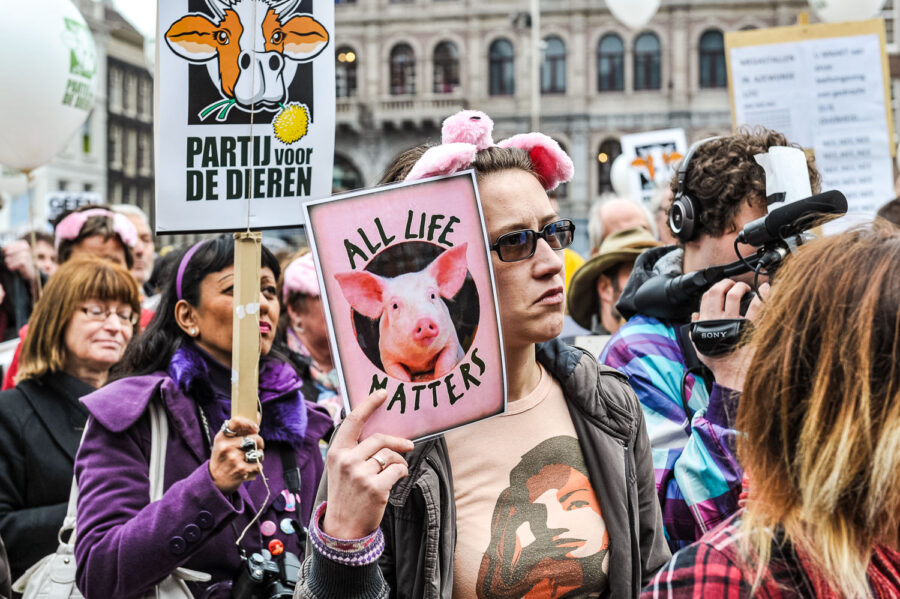 Demonstratie 'We zijn het Mega Zat' op de Dam te Amsterdam, tegen megastallen, vee-industrie en de nieuwe natuurwet van staatssecretaris Henk Bleker.