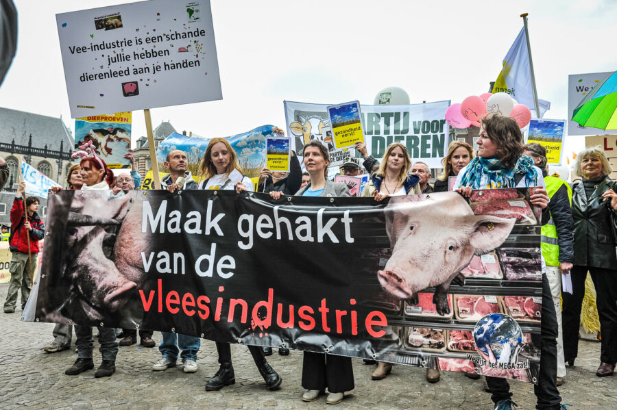 Demonstratie 'We zijn het Mega Zat' op de Dam te Amsterdam, tegen megastallen, vee-industrie en de nieuwe natuurwet van staatssecretaris Henk Bleker.