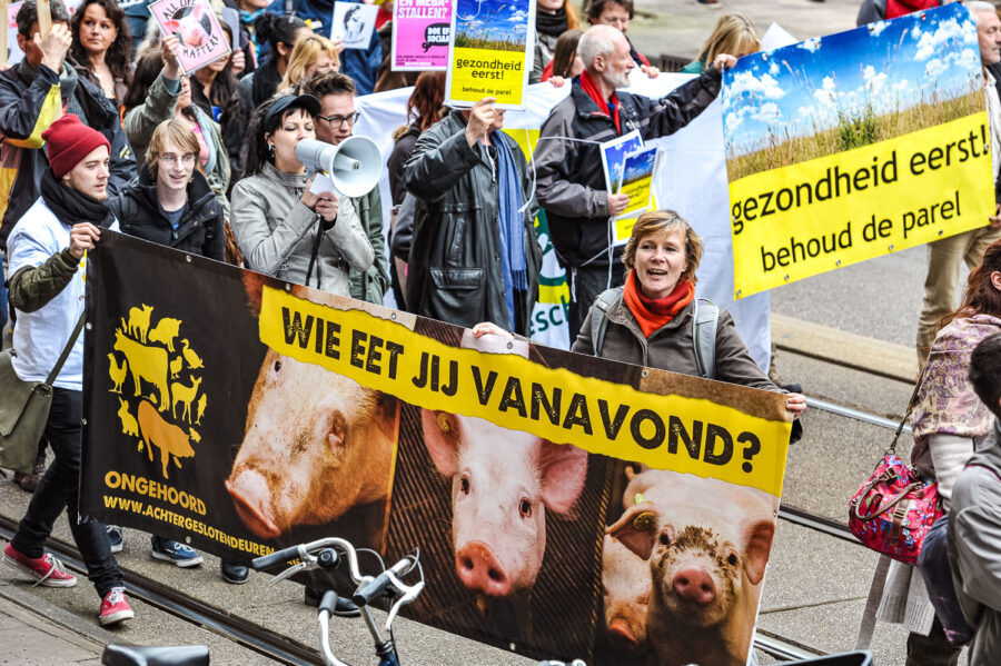 Demonstratie 'We zijn het Mega Zat' op de Dam te Amsterdam, tegen megastallen, vee-industrie en de nieuwe natuurwet van staatssecretaris Henk Bleker.