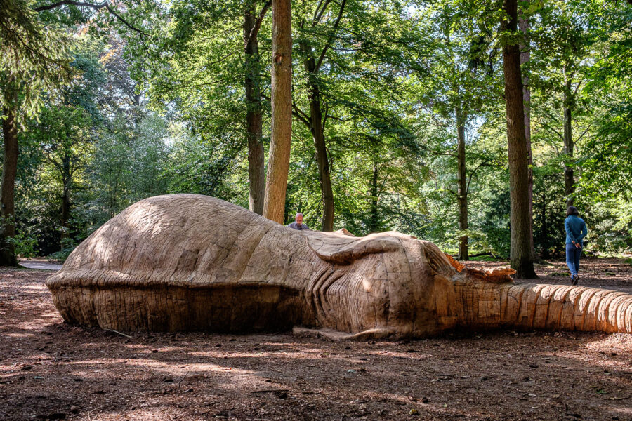 Expostie beeldende kunst: Lustwarande Tilburg, editie 2015