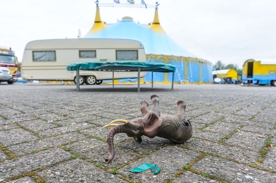Speelgoedolifant bij circustent Circus Belly Wien op bedrijventerrein 't Laar Tilburg