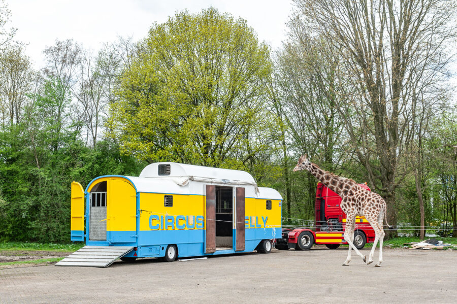 Circcuswagen van Circus Belly Wien op bedrijventerrein 't Laar Tilburg