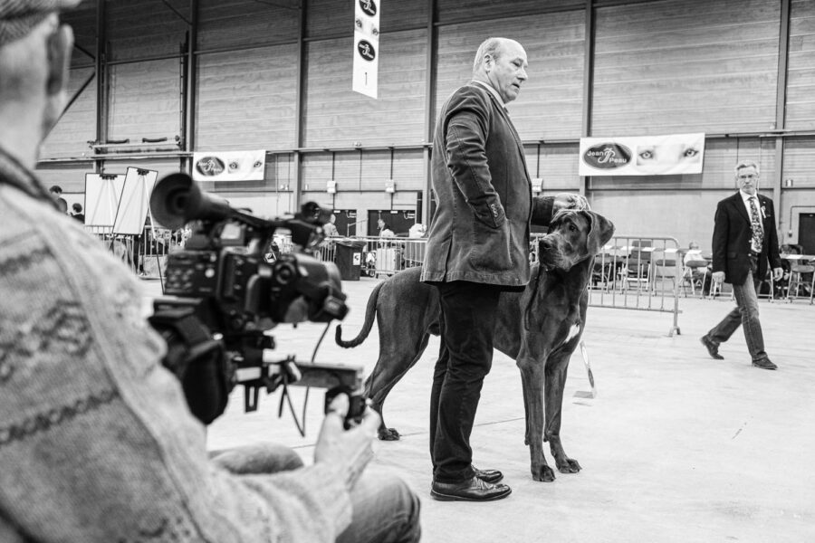 Hondenshow Goes 2017