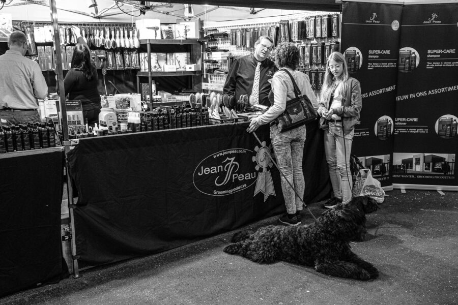 Hondenshow Goes 2017