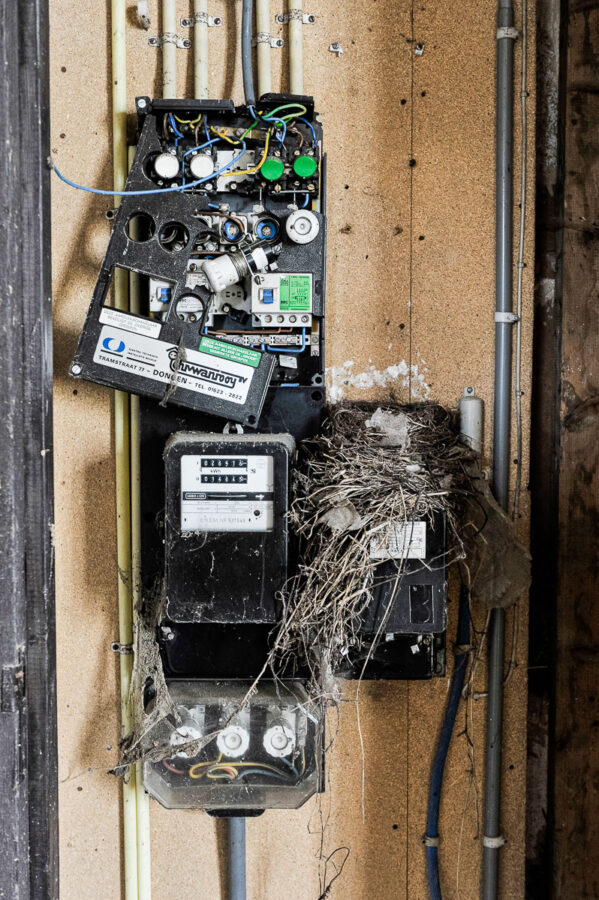 Electriciteitskast met vogelnestje