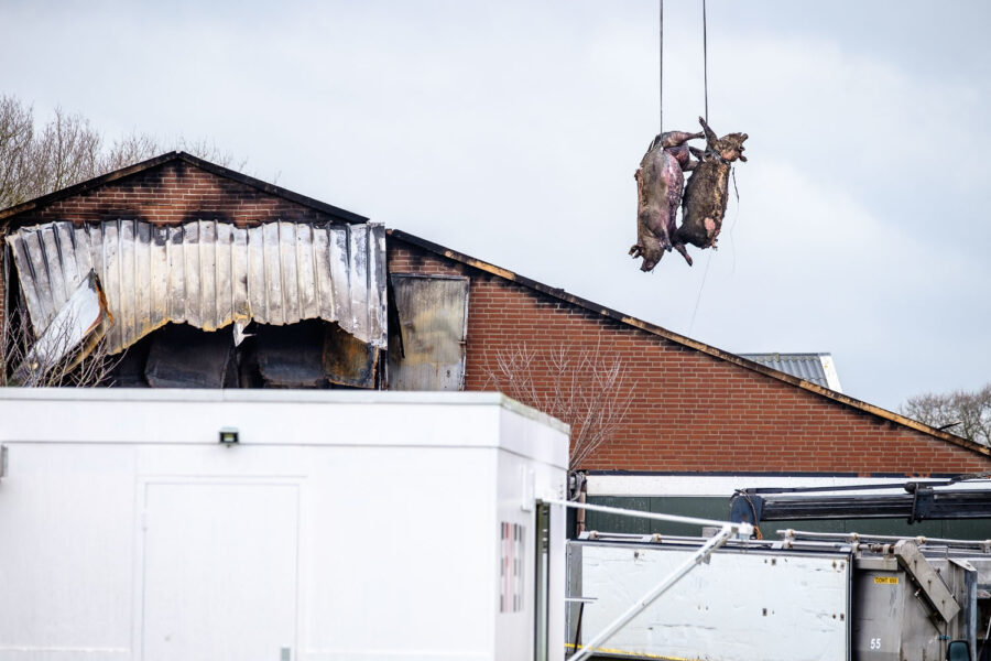 Wake en opruimwerkzaamheden stalbrand Mill 2017
