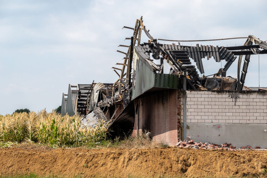Stalbrand Heeswijk-Dinther 2017