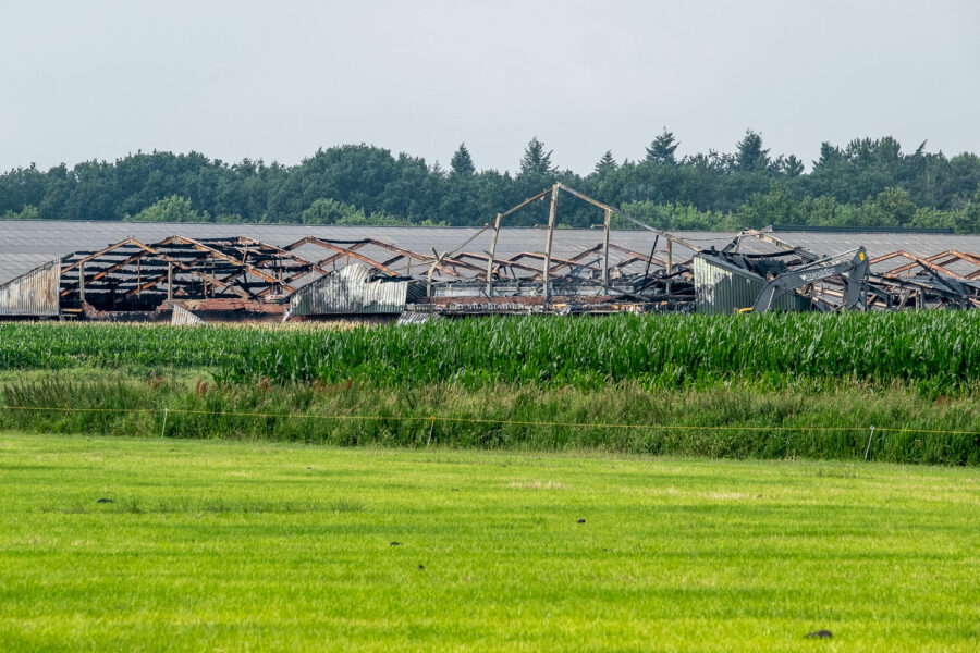 Stalbrand Heeswijk-Dinther 2017