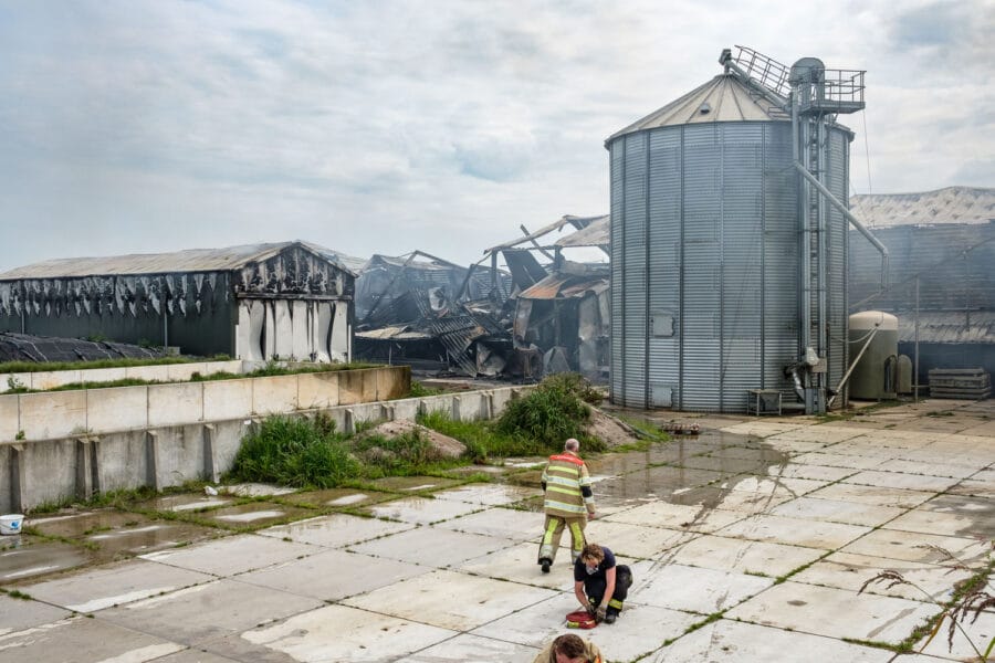 Stalbrand Swifterbant 2017