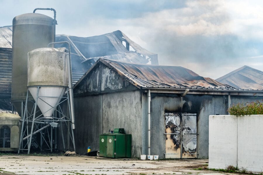 Stalbrand Swifterbant 2017