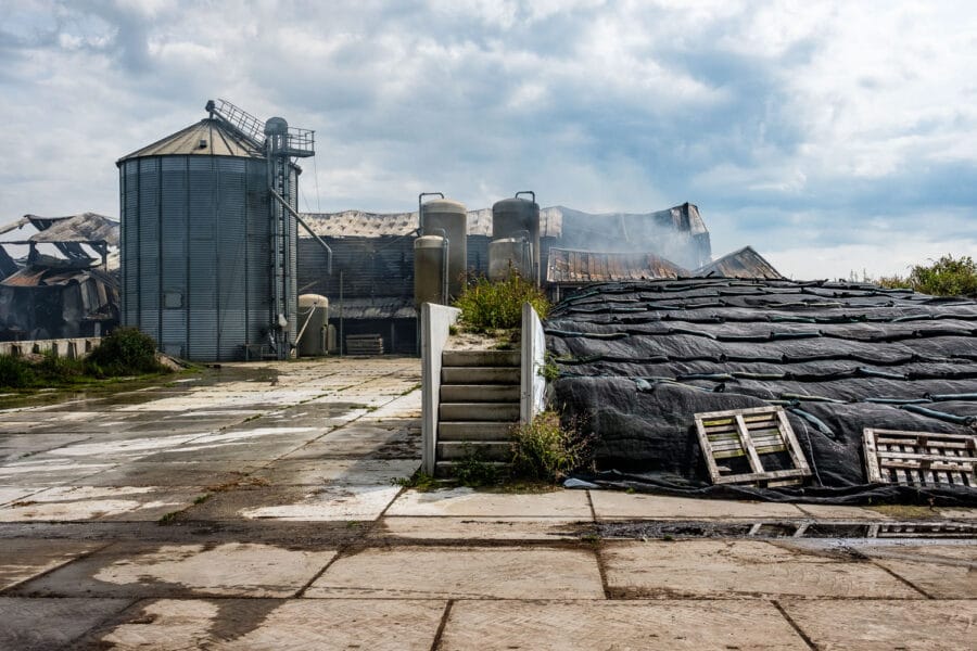 Stalbrand Swifterbant 2017