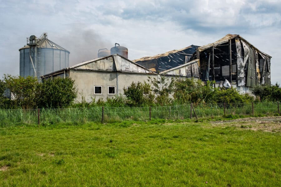 Stalbrand Swifterbant 2017