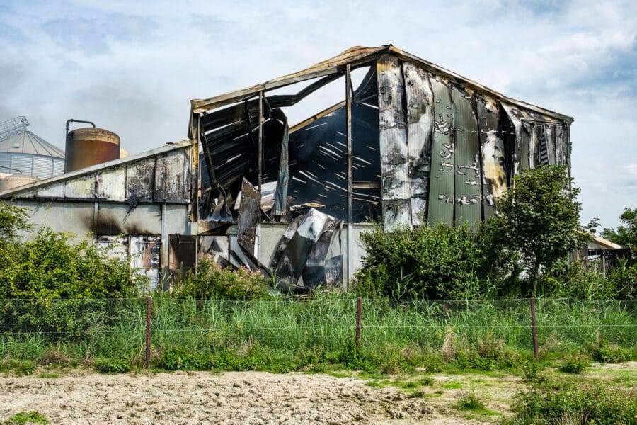 Stalbrand Swifterbant 2017