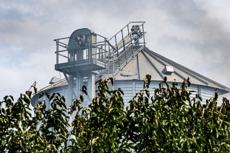 Stalbrand Swifterbant 2017