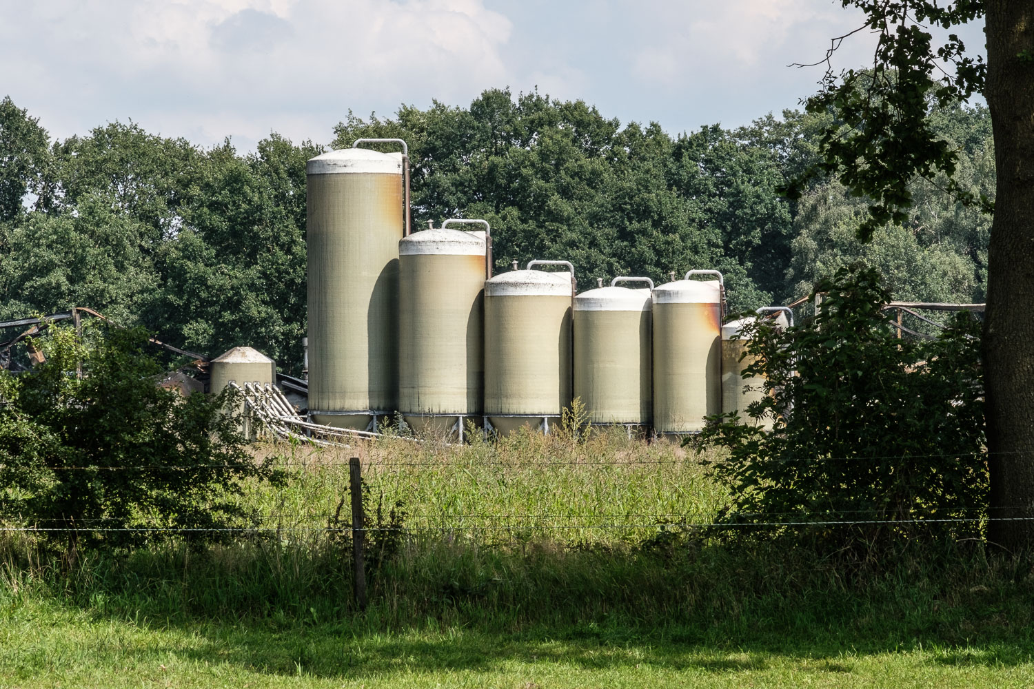 Voedersilo's