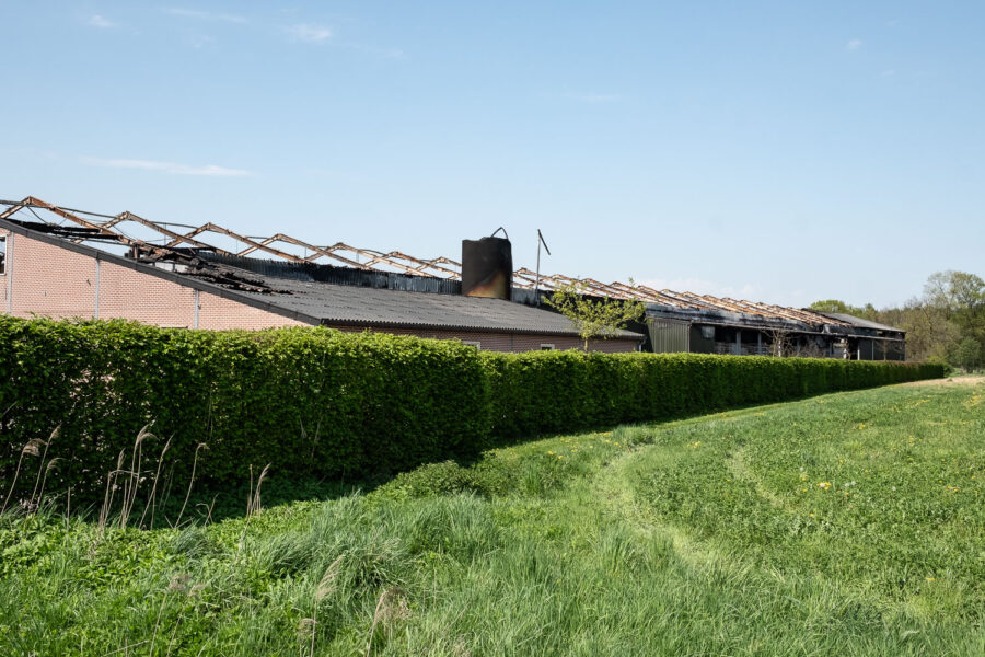 Uitgebrande kippenstal in het Beglisache Vlimmeren, 22 april 2018