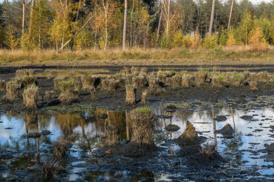 Drooggevallen ven in natuurgebied Ooievaarsnest, Goirle