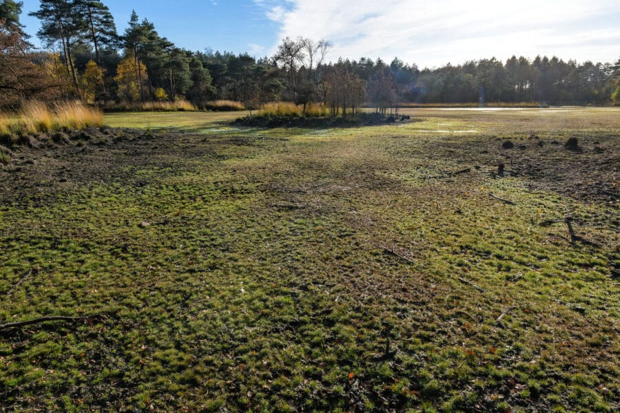 Drooggevallen ven in natuurgebied Ooievaarsnest, Goirle